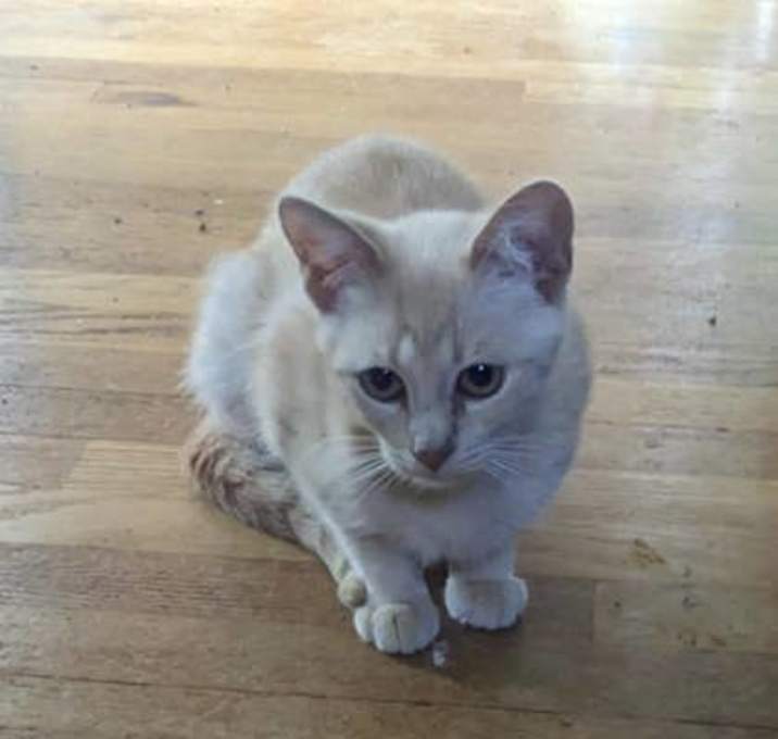 Photo of Firekeeper