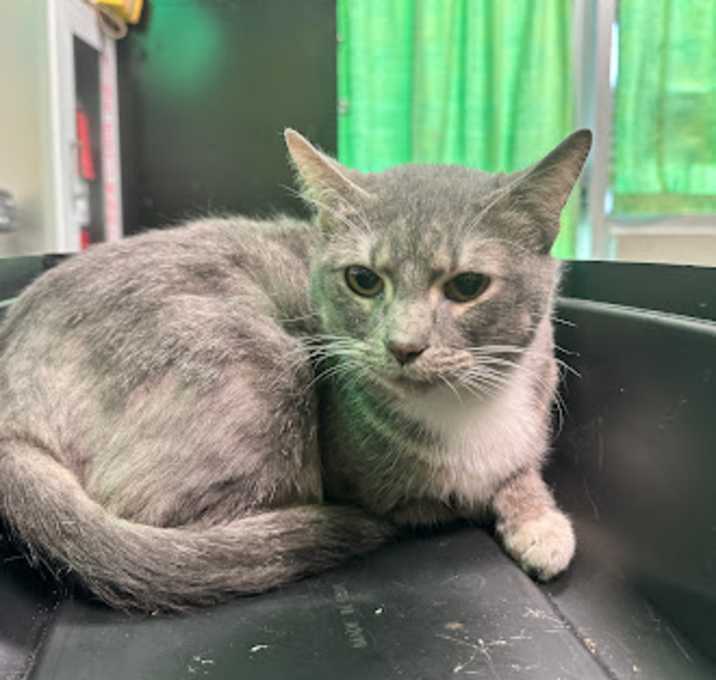Photo of Stormy