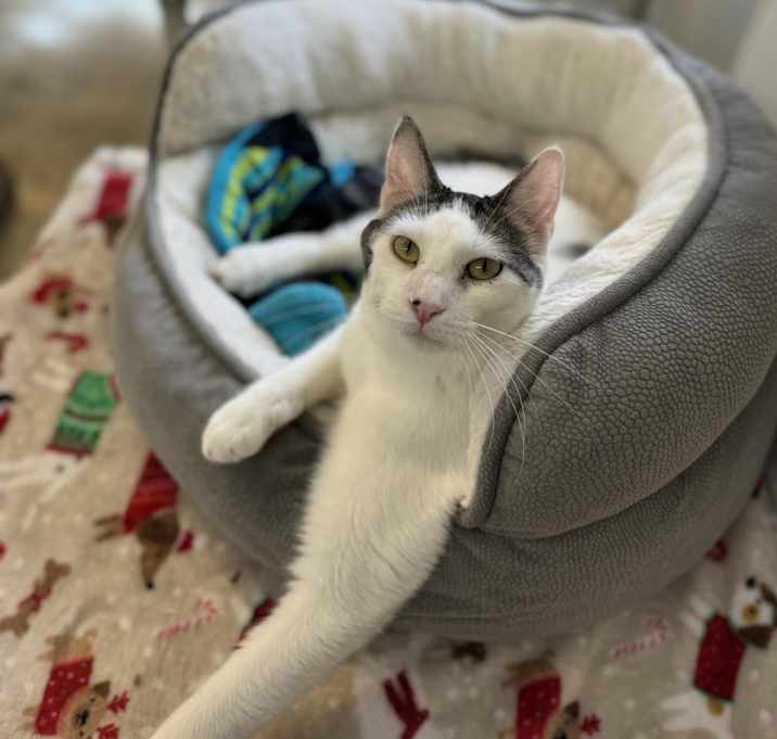 Photo of Elliot