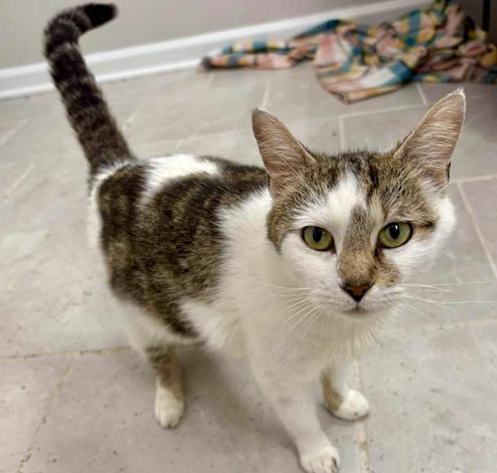 Photo of Athena