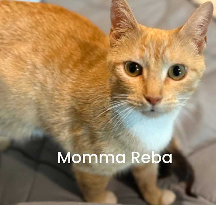 Photo of REBA Mama