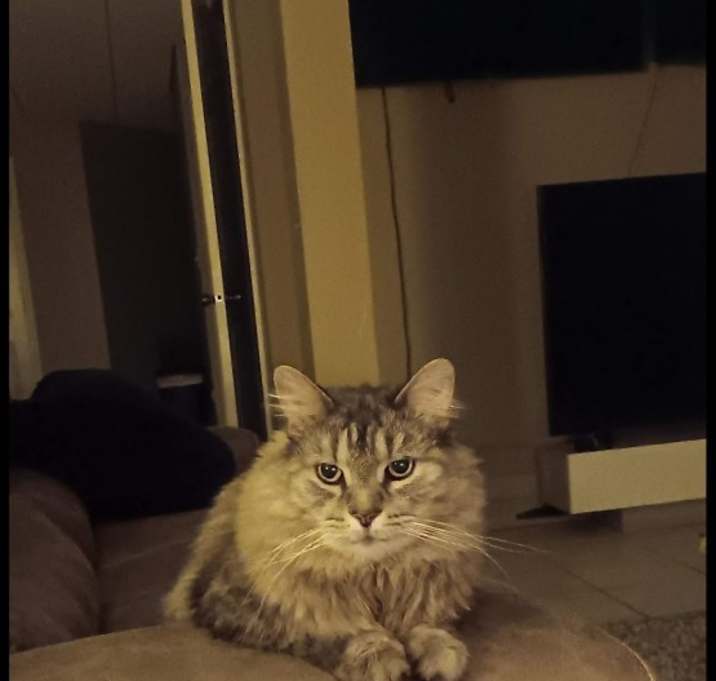 Photo of Sam