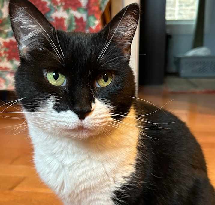 Photo of Valerie