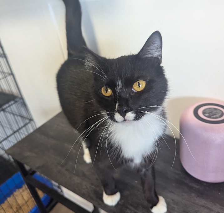 Photo of Sprout