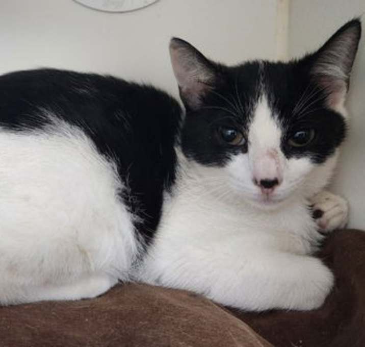 Photo of Lily