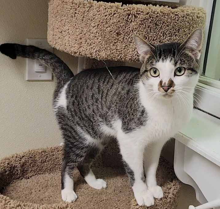 Photo of Cratchit