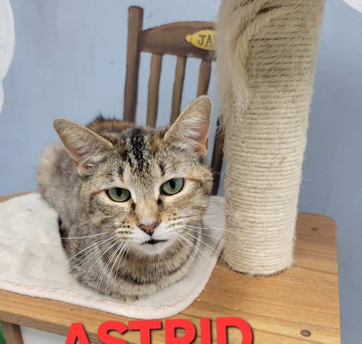 Photo of Astrid
