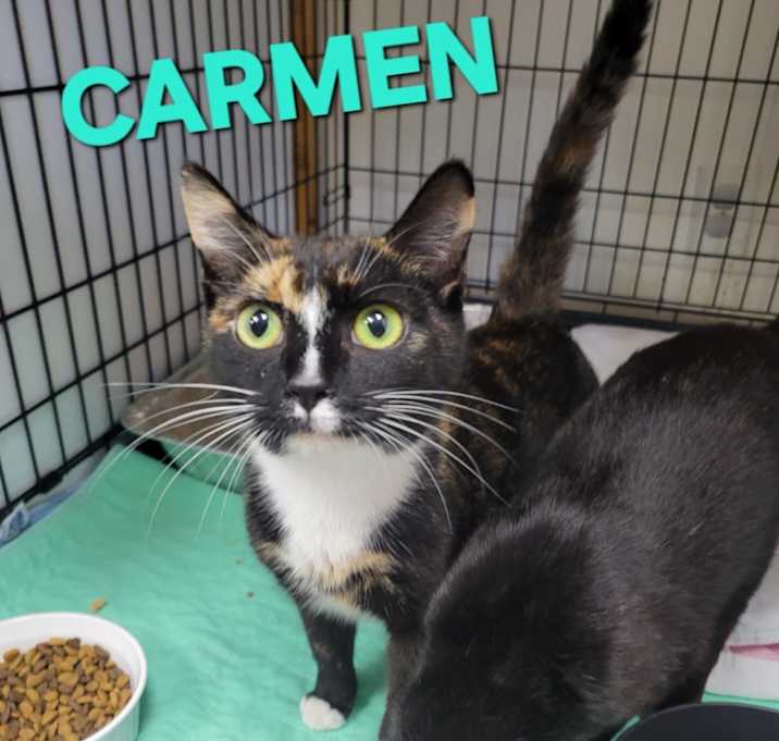 Photo of Carmen