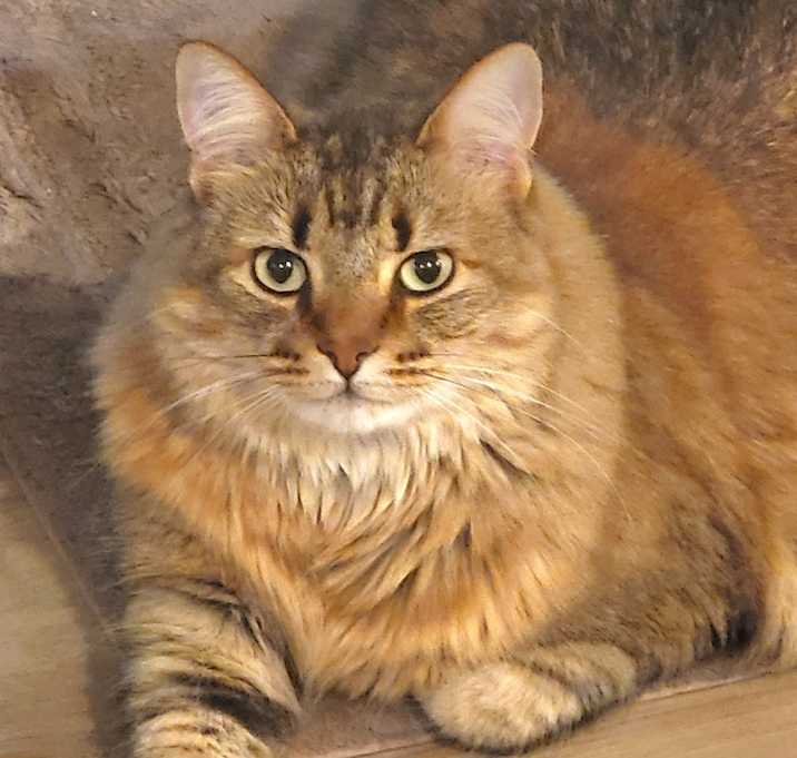 Photo of Luna