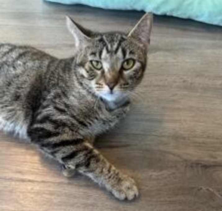 Photo of Skinny Scatty
