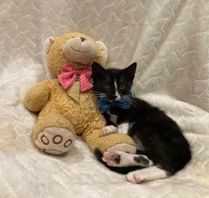 Photo of Chase