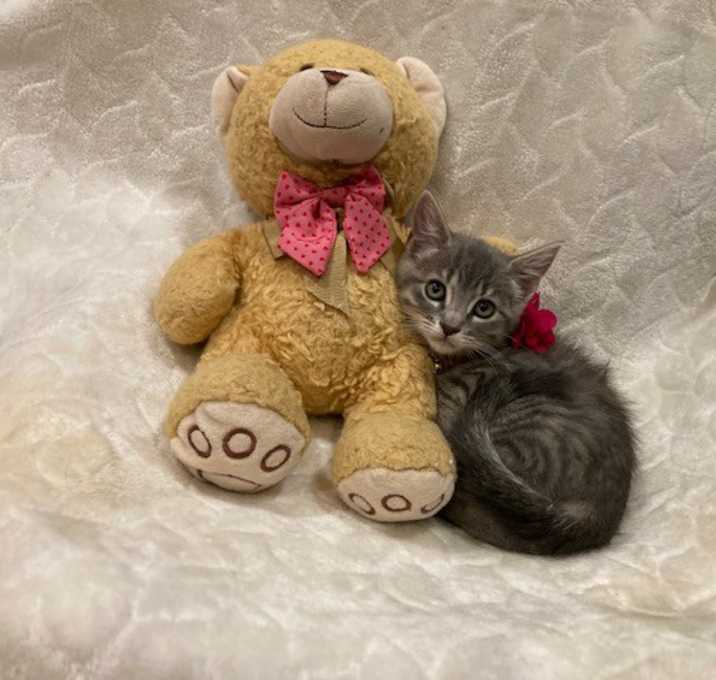 Photo of Coco