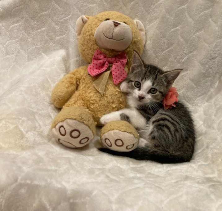 Photo of Chloe