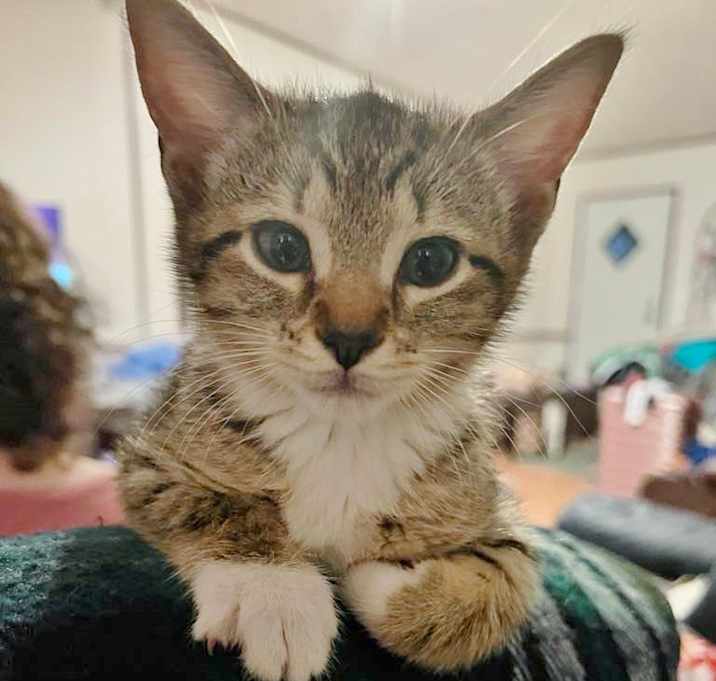Photo of Duchess