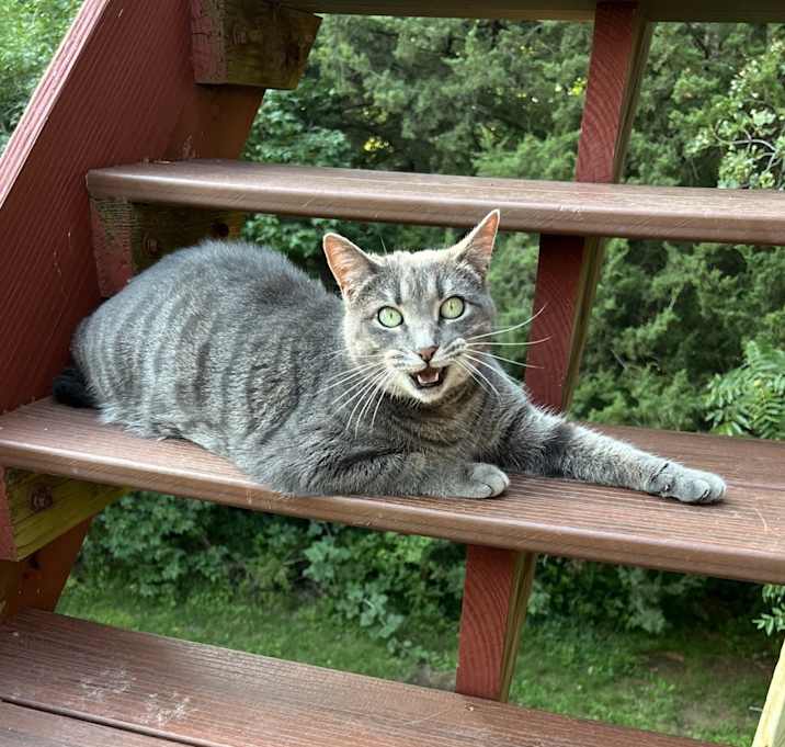 Photo of Maggie
