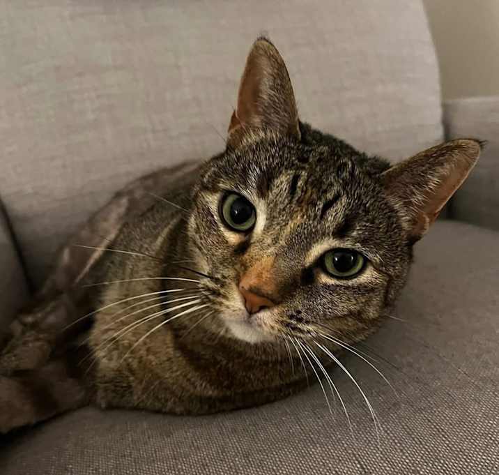 Photo of Clawdia