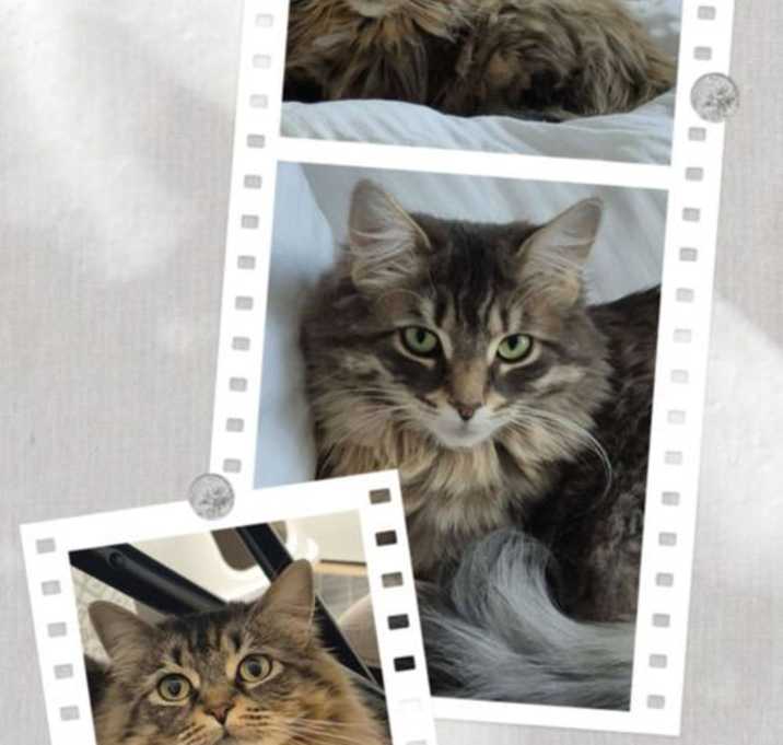 Photo of Alice & Arabella