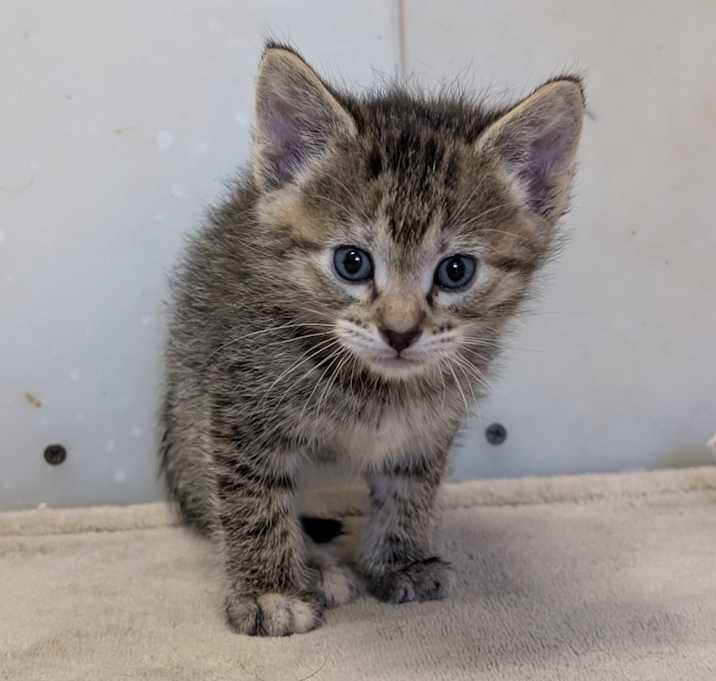 Photo of Tina 