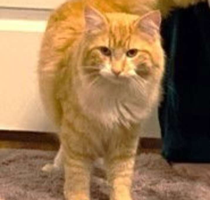 Photo of Fred