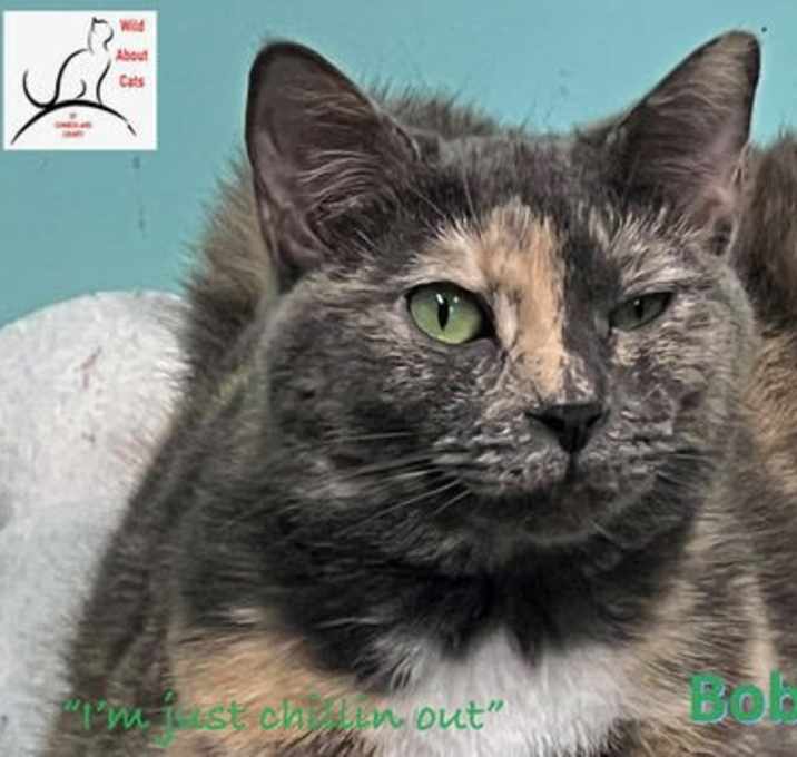 Photo of Bobby Sue