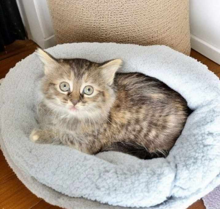 Photo of Lillian