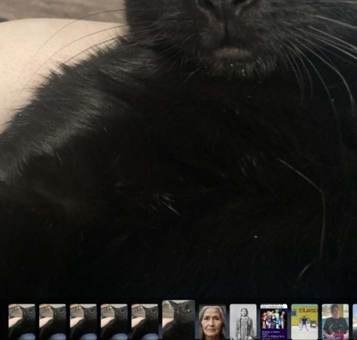 Photo of Bean