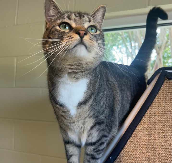 Photo of Berry