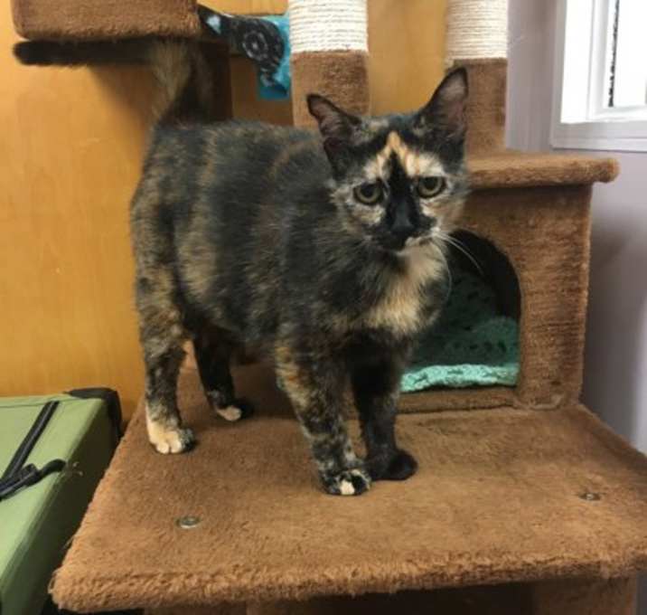 Photo of Rosie