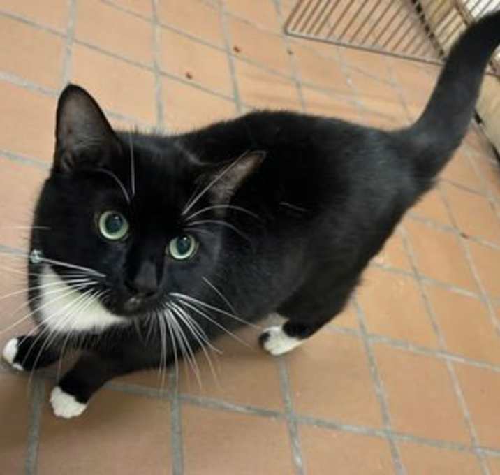 Photo of Bootsy