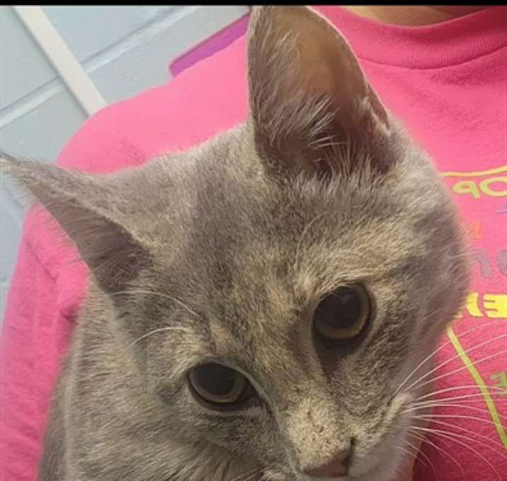 Photo of PHOEBE