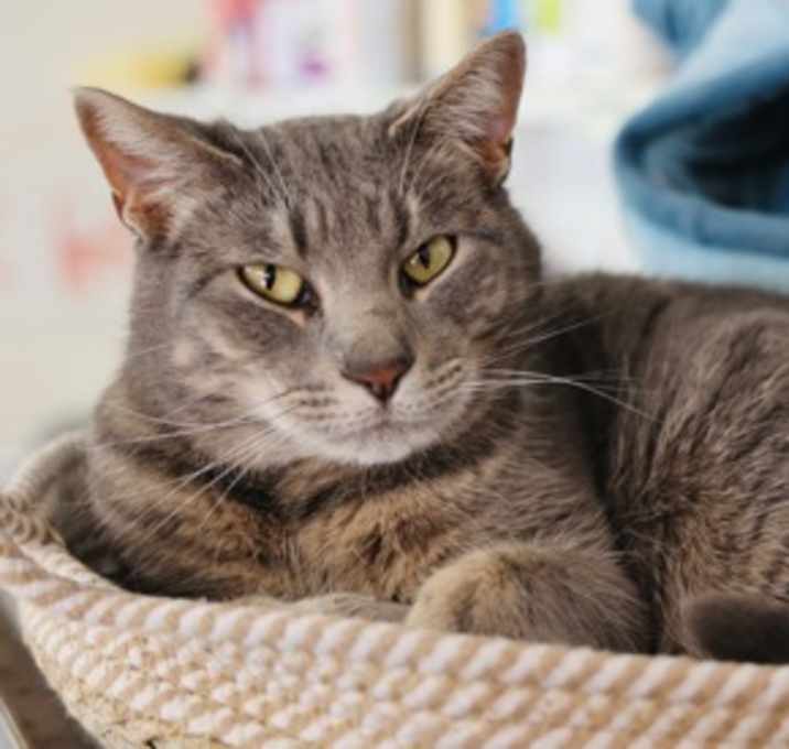 Photo of Maverick