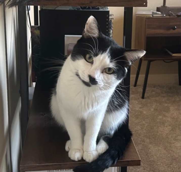 Photo of Nobu