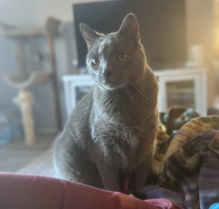 Photo of Ash