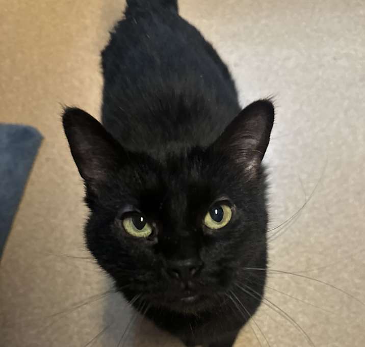 Photo of Mildred