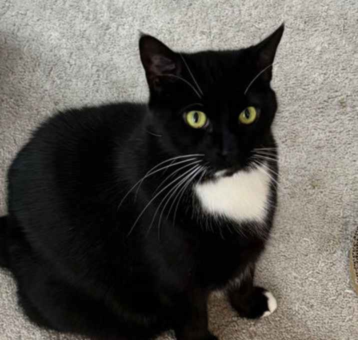 Photo of Evie