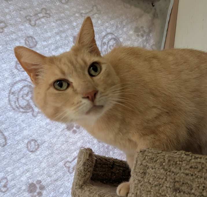 Photo of Rocket
