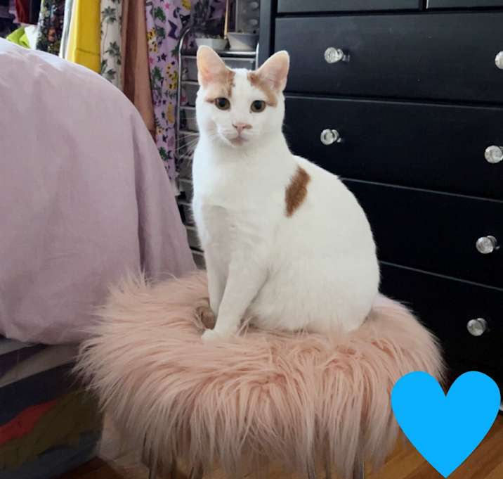 Photo of Rita