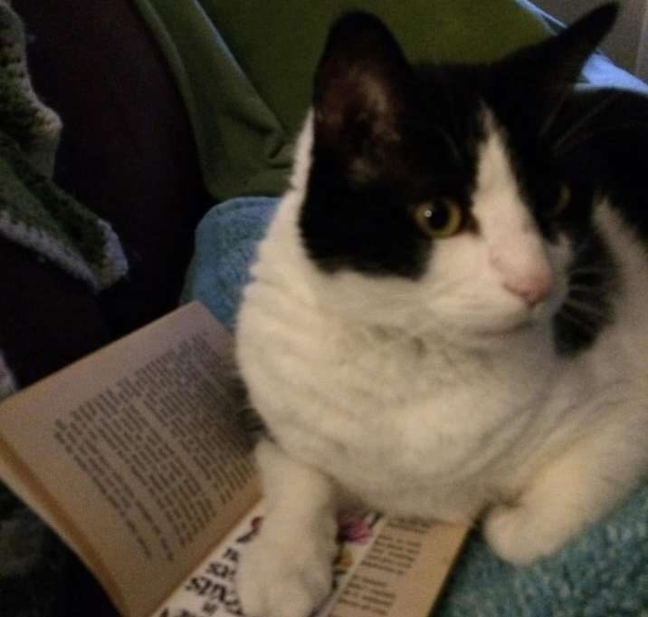 Photo of Sparky