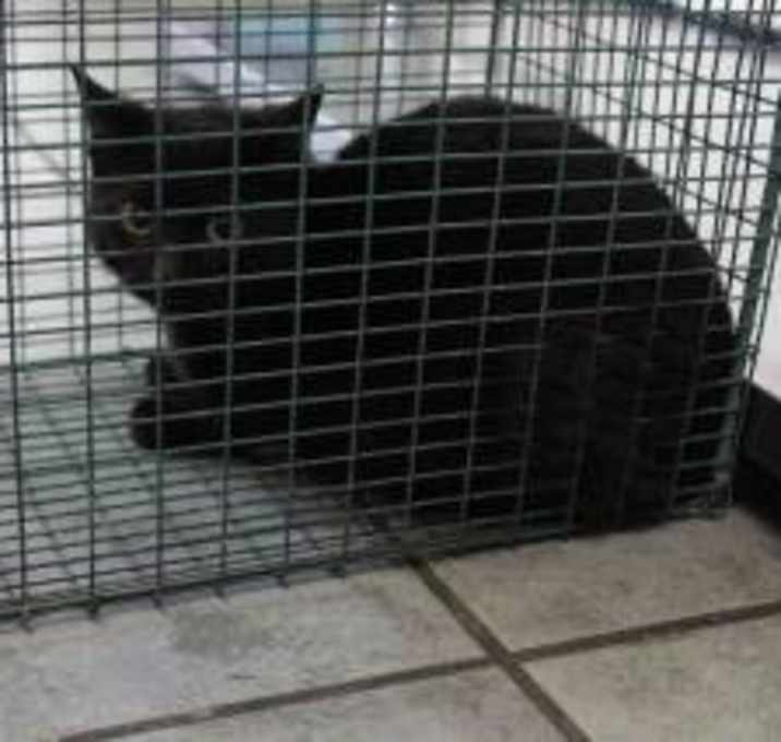 Photo of Tabitha