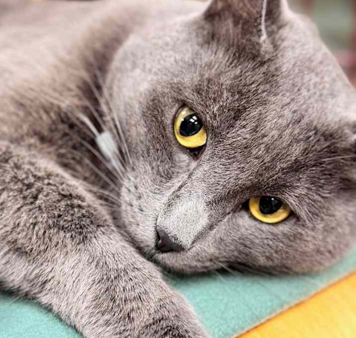 Photo of Gandalf