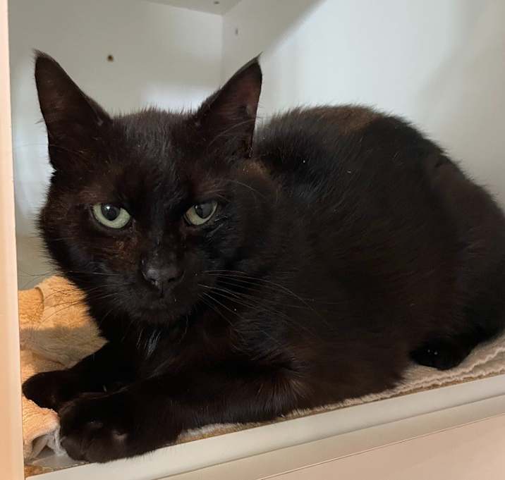 Photo of Tommy