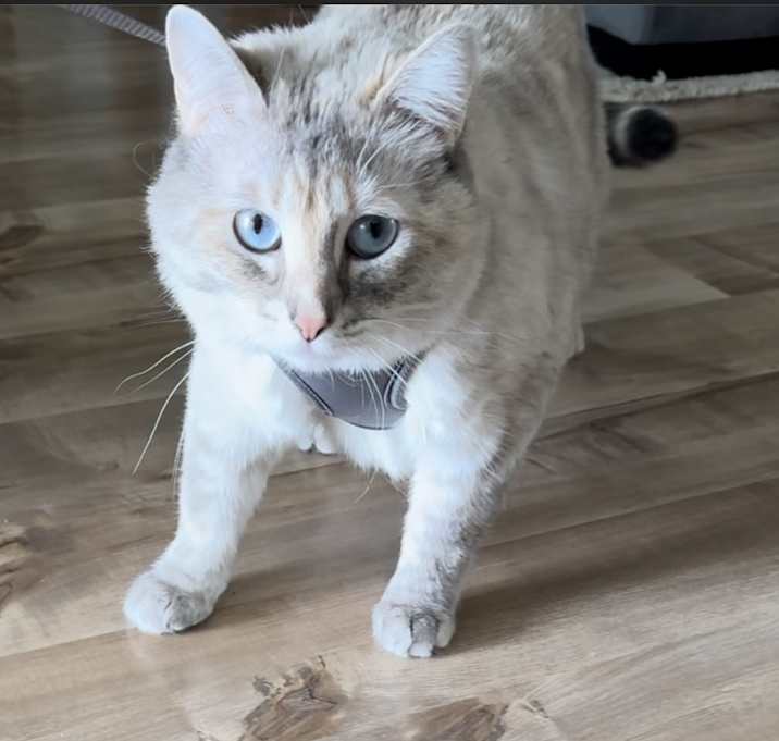 Photo of Mable
