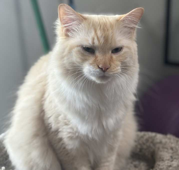 Photo of Wyatt