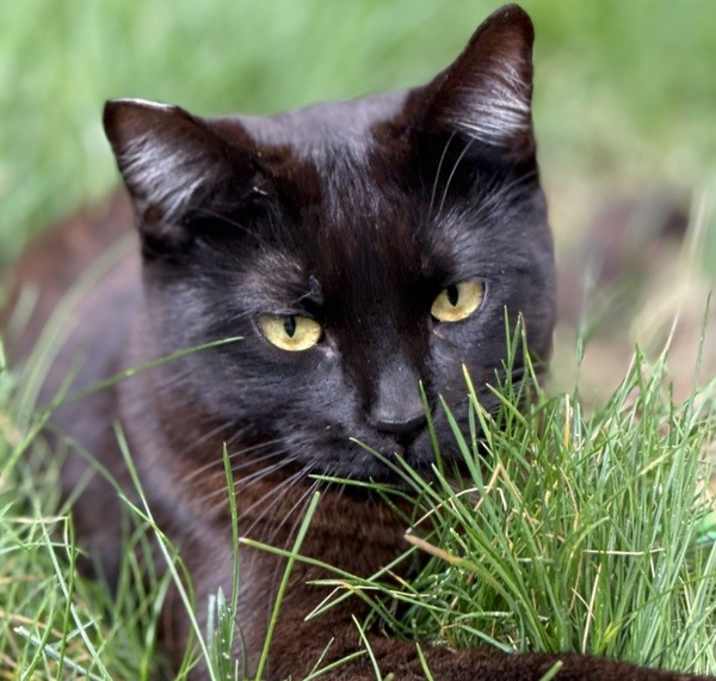 Photo of Girlie