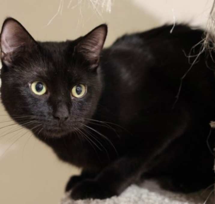Photo of Buddy 2