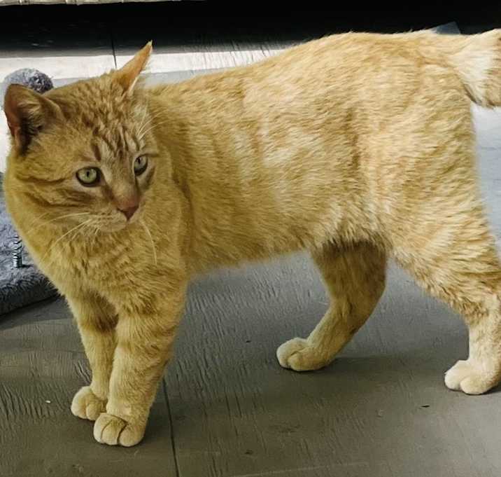 Photo of Major Bob