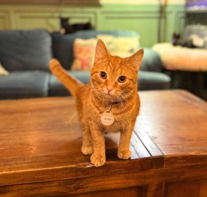Photo of Judd