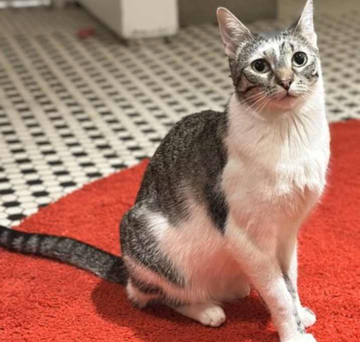 Photo of Sugar