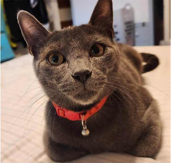 Photo of FINN
