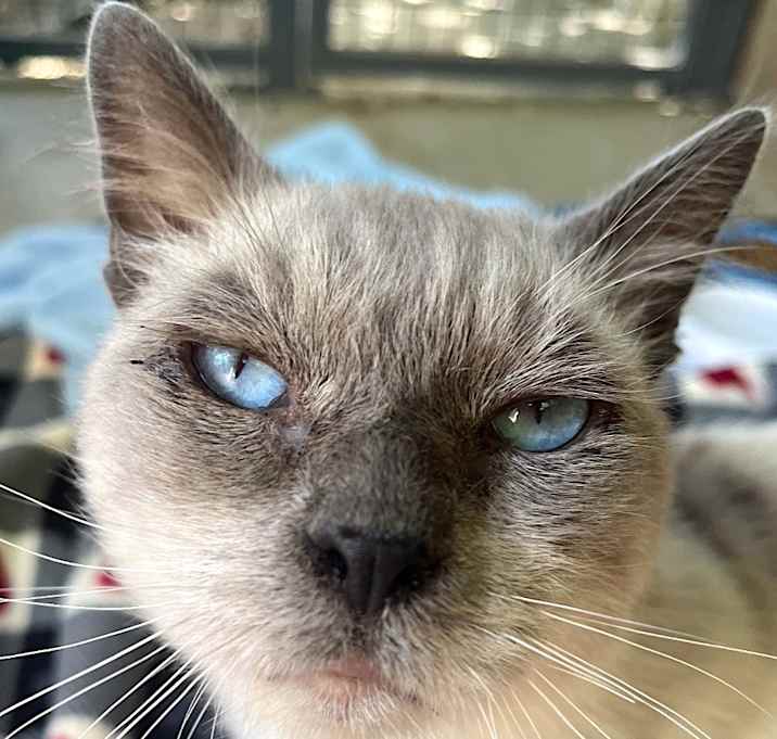 Photo of BRUCE